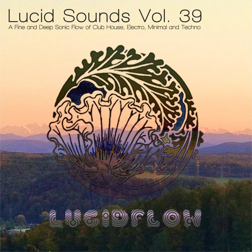 VA - Lucid Sounds, Vol. 39 [DCD095]